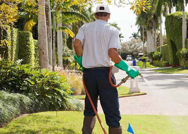 About Jersey City NJ Pest Control Pros